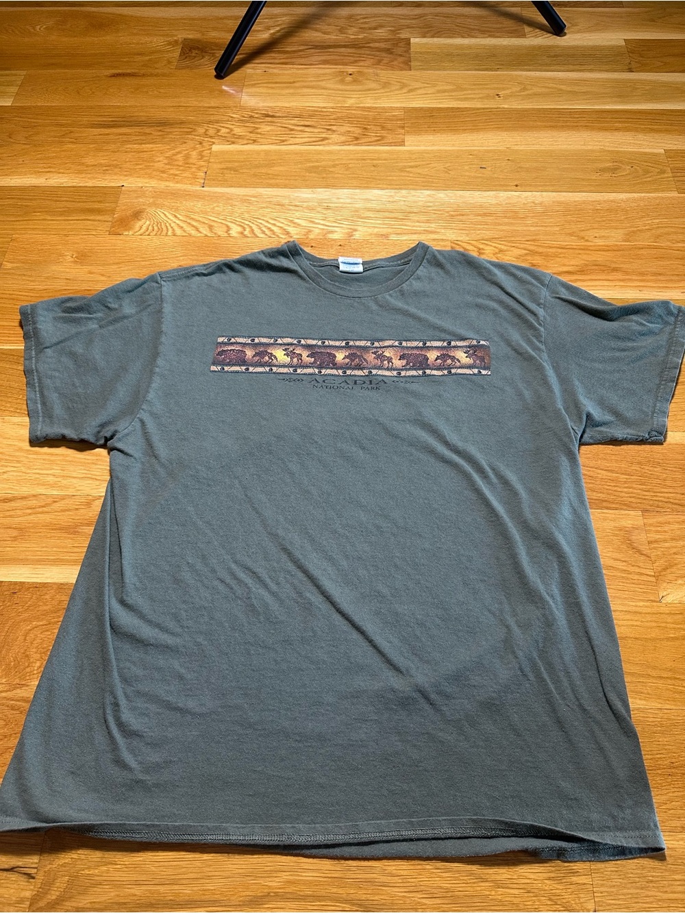 Vintage Acadia national park shirt